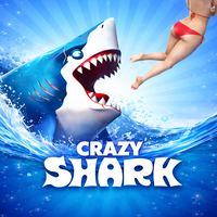 Crazy Shark